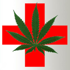 Nowojorski program medycznej marihuany dodaje ból chroniczny do listy zatwierdzonych stanów chorobowych, TanieSianie, Tanie Sianie