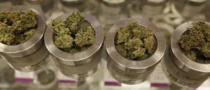 Pierwszy punkt sprzedaży detalicznej marihuany w Anchorage, TanieSianie, Tanie Sianie