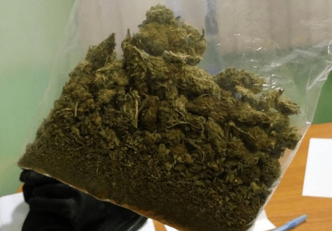 Czy Marihuana Może Leczyć Kaca?, TanieSianie, Tanie Sianie